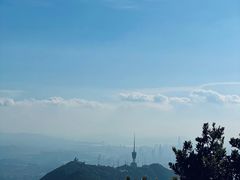 -梧桐山风景名胜区