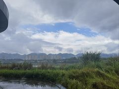 -金海湾滨江公园