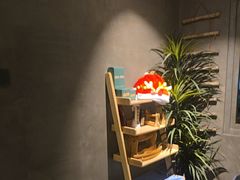 -施奈儿.洗头頭療.按摩SPA.采耳(上梅林店)
