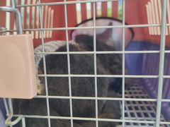 -贝康宠物医院·犬猫全科·小动物特色诊疗中心(东环路店)