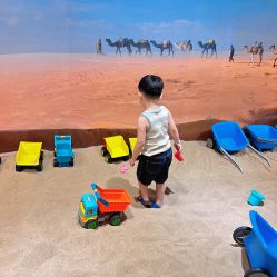 -卡通尼·Safari非洲探索乐园·生日会(金桥国际商业广场店)