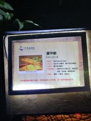 -未来动物城动物主题公园(大悦城店)