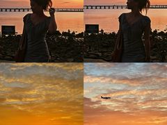 -宝安西湾红树林湿地公园