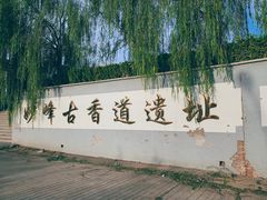 -阳台山自然风景区