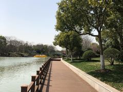 -上海海湾国家森林公园