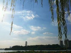 -暨阳湖生态园