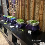 阳江海陵岛～你以为的98元火锅🍲自助