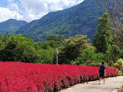 -广州市流溪河国家森林公园