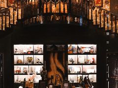 -雪灵魔法世界SHELLY’S TAROT(大良桂畔里店)