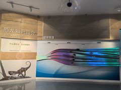 -安徽省地质博物馆