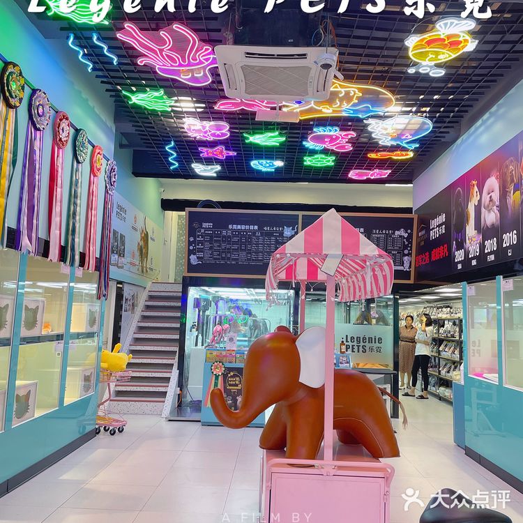 快来带走你的小可爱‼️宠物店中的爱马仕