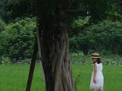 -艾米稻香小镇