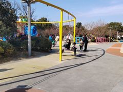 -澹台湖公园