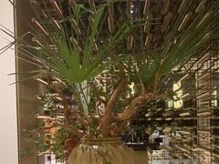 -宁海安岚·南溪阁全日餐厅