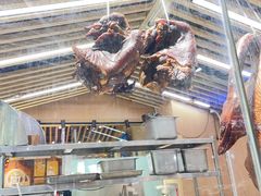 -狮头牌卤味研究所·卤味饭(花城汇南区店)