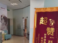 -瑞派申生动物医院·24H夜诊·国际动物医疗中心·骨外科(吴中路店)