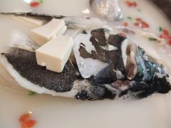 -浔味·山屿湖·正宗淳牌全鱼宴老字号