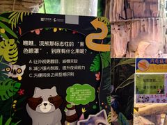 -正佳雨林生态植物园