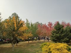-辽宁大学(崇山校区)