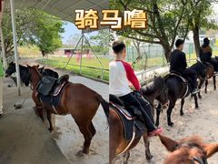 -盈香心动乐园