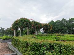 -郑州植物园