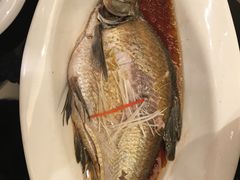 清蒸武昌鱼-亢龙太子酒轩(东湖店)