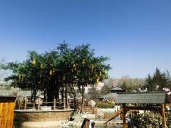 -华山御温泉度假村