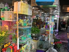 -曲阳花鸟市场(曲阳路店)