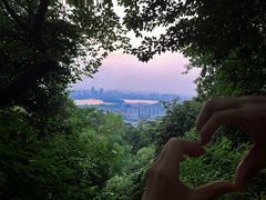 -紫金山山顶公园