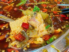 -乡土特色.冷锅鱼.牦牛肉汤锅