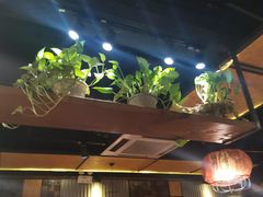 -柿子树炭烤羊腿(金台路店)