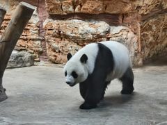 -石家庄市动物园