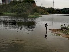 -重庆彩云湖湿地公园