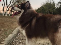 -白鹭湾湿地公园