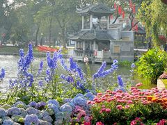 -荔湾湖公园