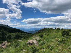 -白草畔自然风景区