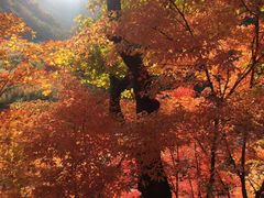 -丹东天桥沟景区