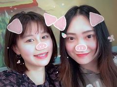 -WHEN PIGS FLY当猪飞