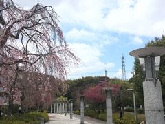 -醍醐寺