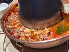 -东镇老火锅(长春路首店)