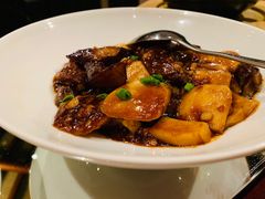 -宁波柏悦酒店·钱湖渔港