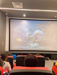 点击看大图 -宝燕乐园(闵行旗舰店)