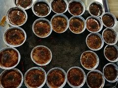 烤臭豆腐-龙翔小猪脚(龙头街店)