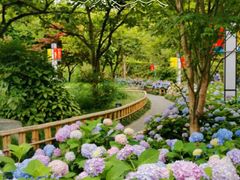 -江湾公园
