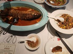 -阿五黄河大鲤鱼(英协路店)