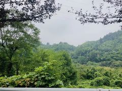 -安吉龙王山峡谷漂流