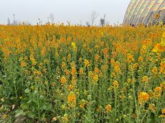 -中国天府农业博览园