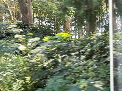 -洪泽湖古堰景区