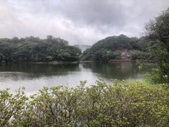 -广州市石门国家森林公园