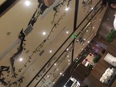 -煲宫猪肚鸡(昆山金鹰国际购物中心店)